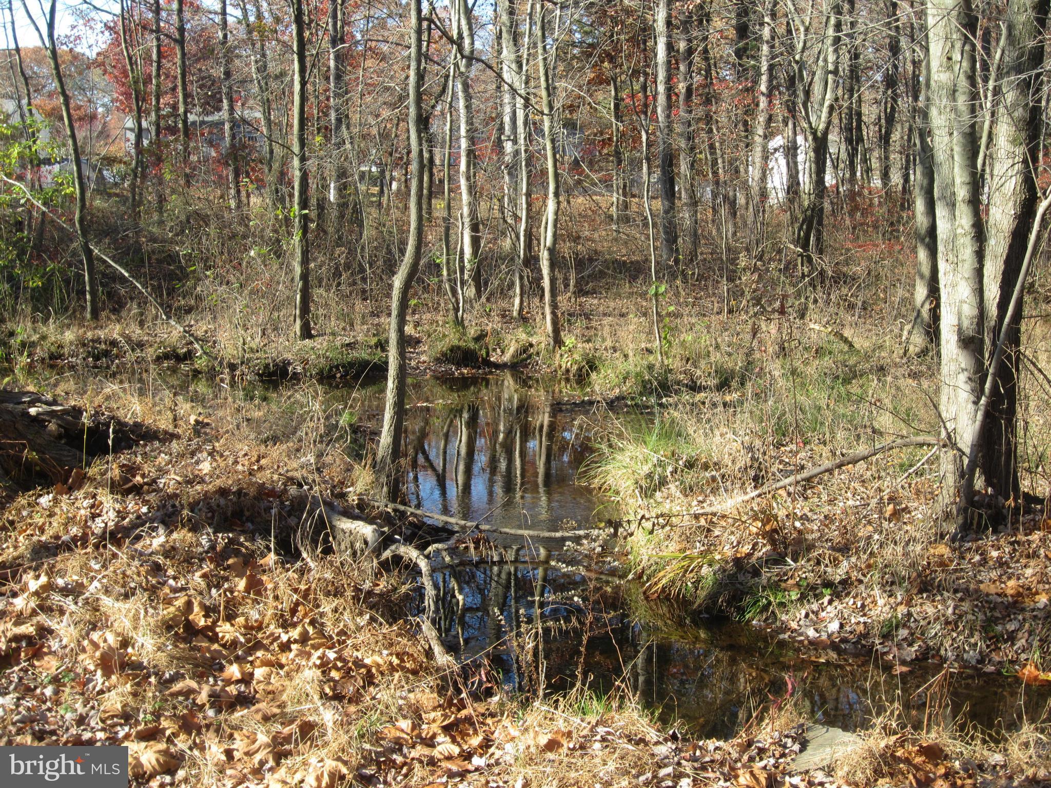 1512 Evergreen Road Severn, MD 21144 - Photo 23 of 27 Stream and woods