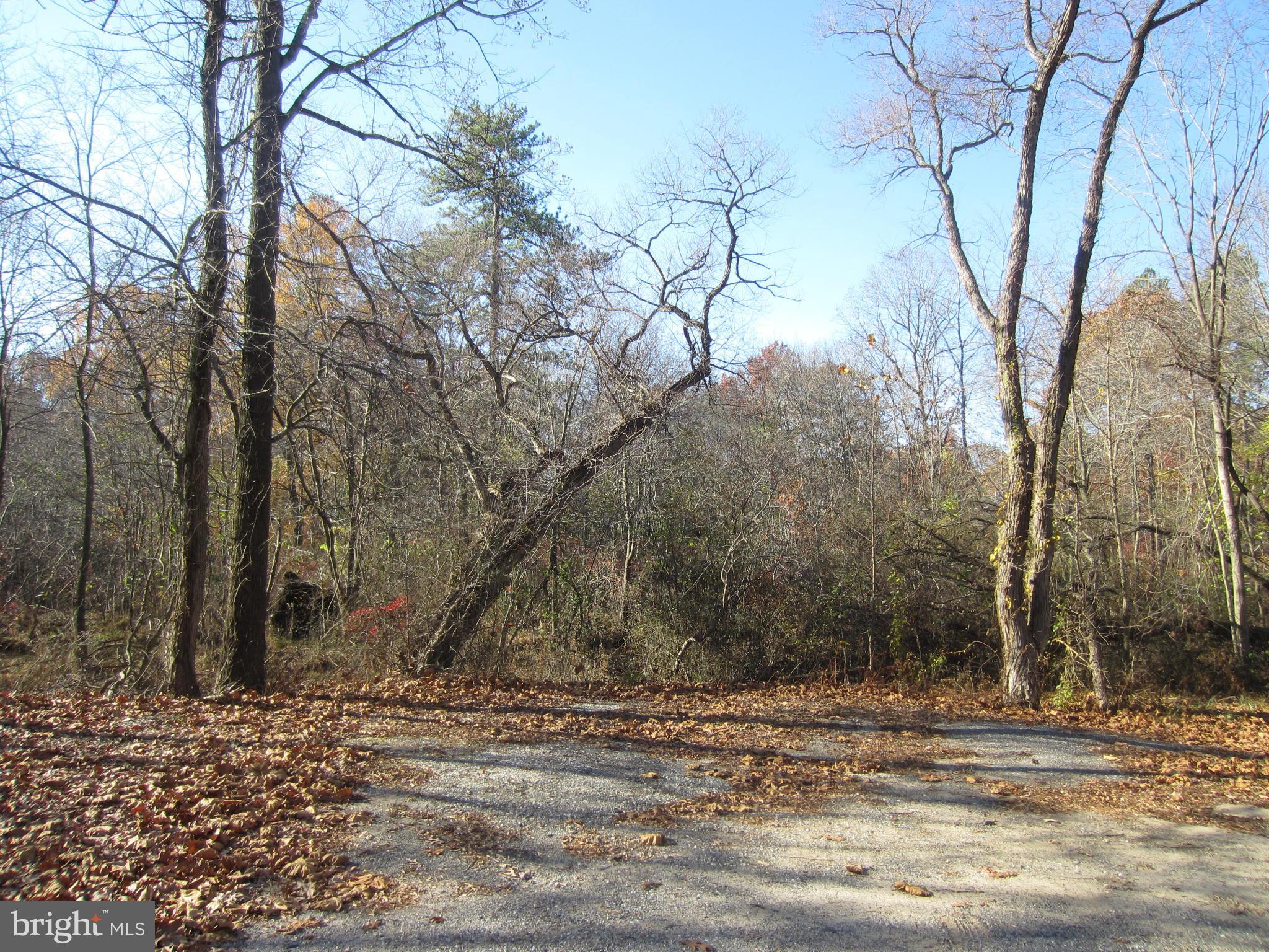 1512 Evergreen Road Severn, MD 21144 - Photo 25 of 27 View of woods from front