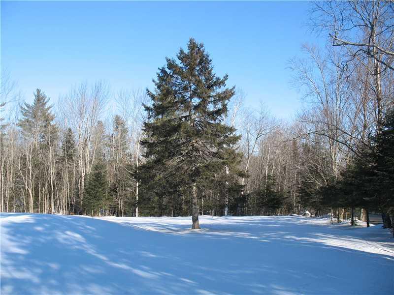 41 W Road Abbot, ME 04406 - Photo 17 of 20 Yard/Garden.