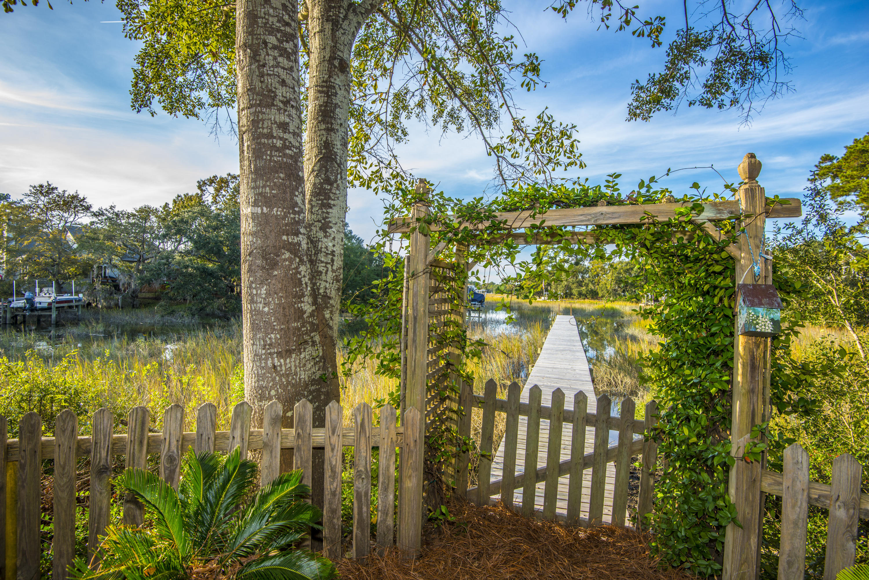 808 Milldenhall Road Mount Pleasant, SC 29464 - Photo 5 of 65 _DSC3902