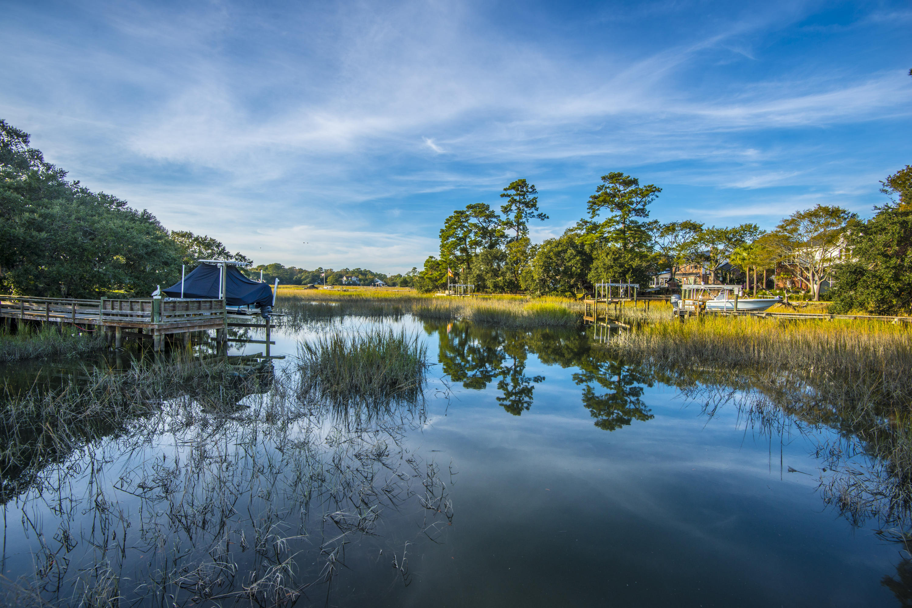 808 Milldenhall Road Mount Pleasant, SC 29464 - Photo 65 of 65 _DSC3908