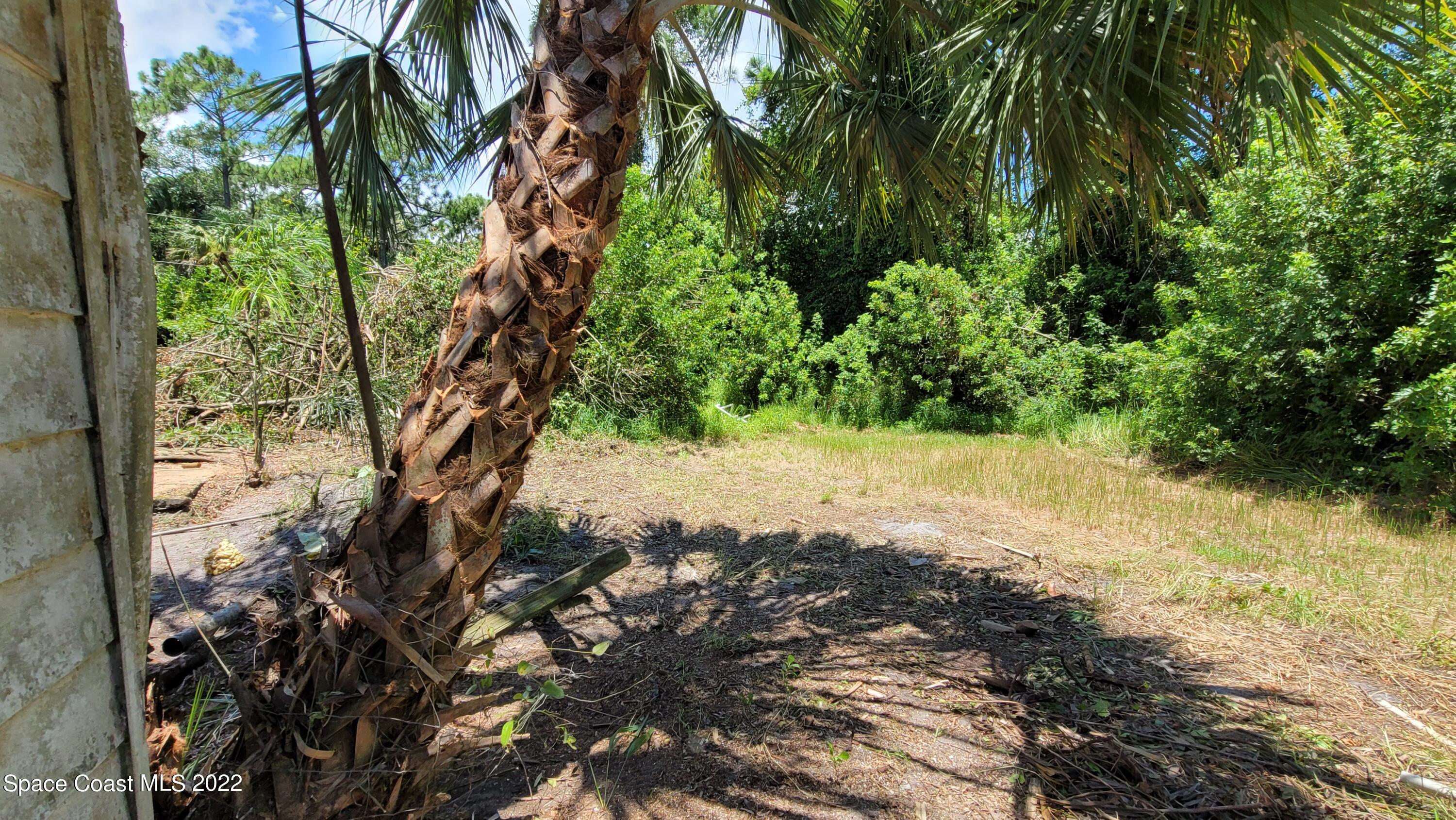 1910 Atz Road Malabar, FL 32950 - Photo 54 of 58 a view of a yard with plants and trees