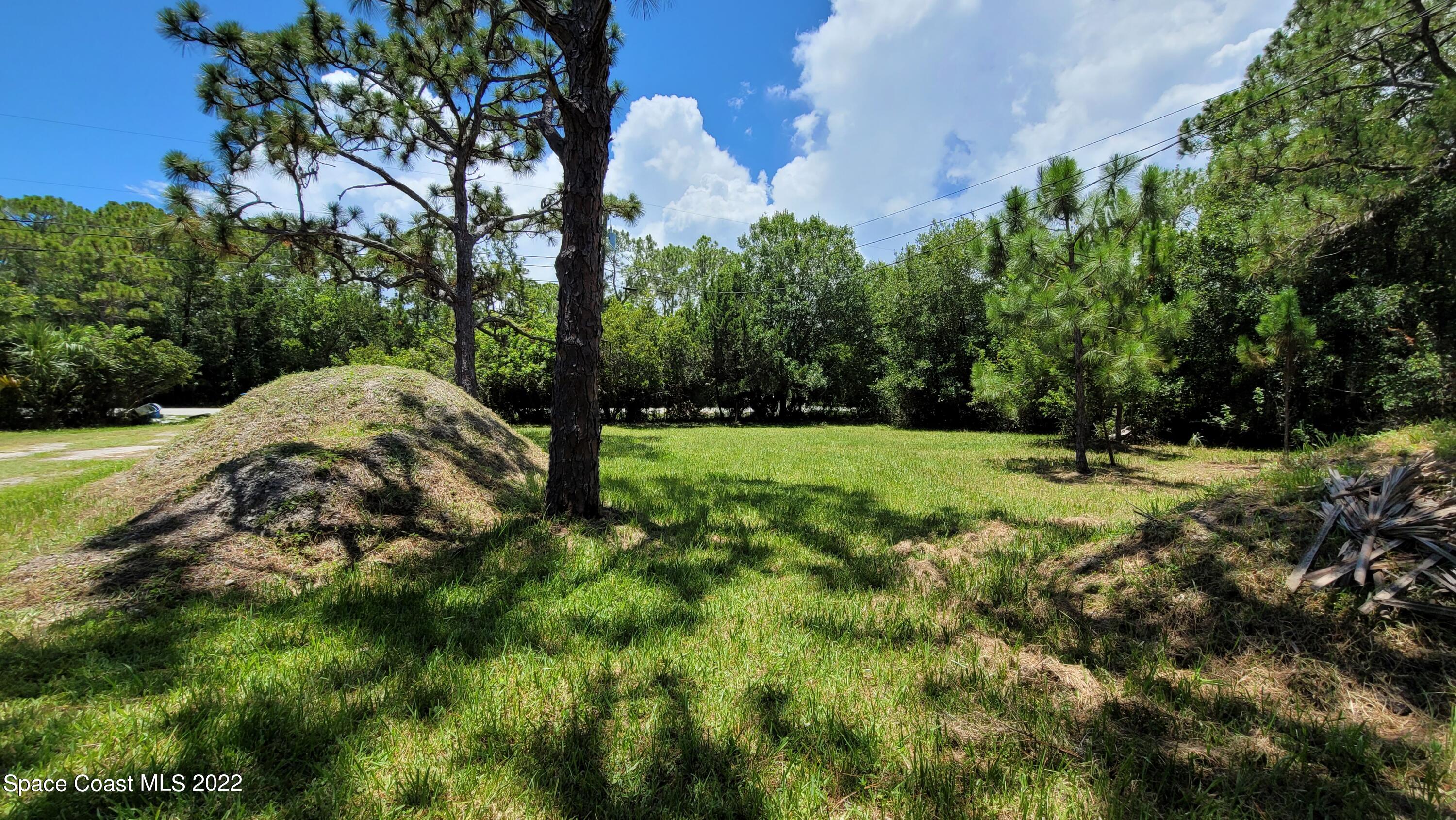 1910 Atz Road Malabar, FL 32950 - Photo 55 of 58 a view of outdoor space with a garden and trees