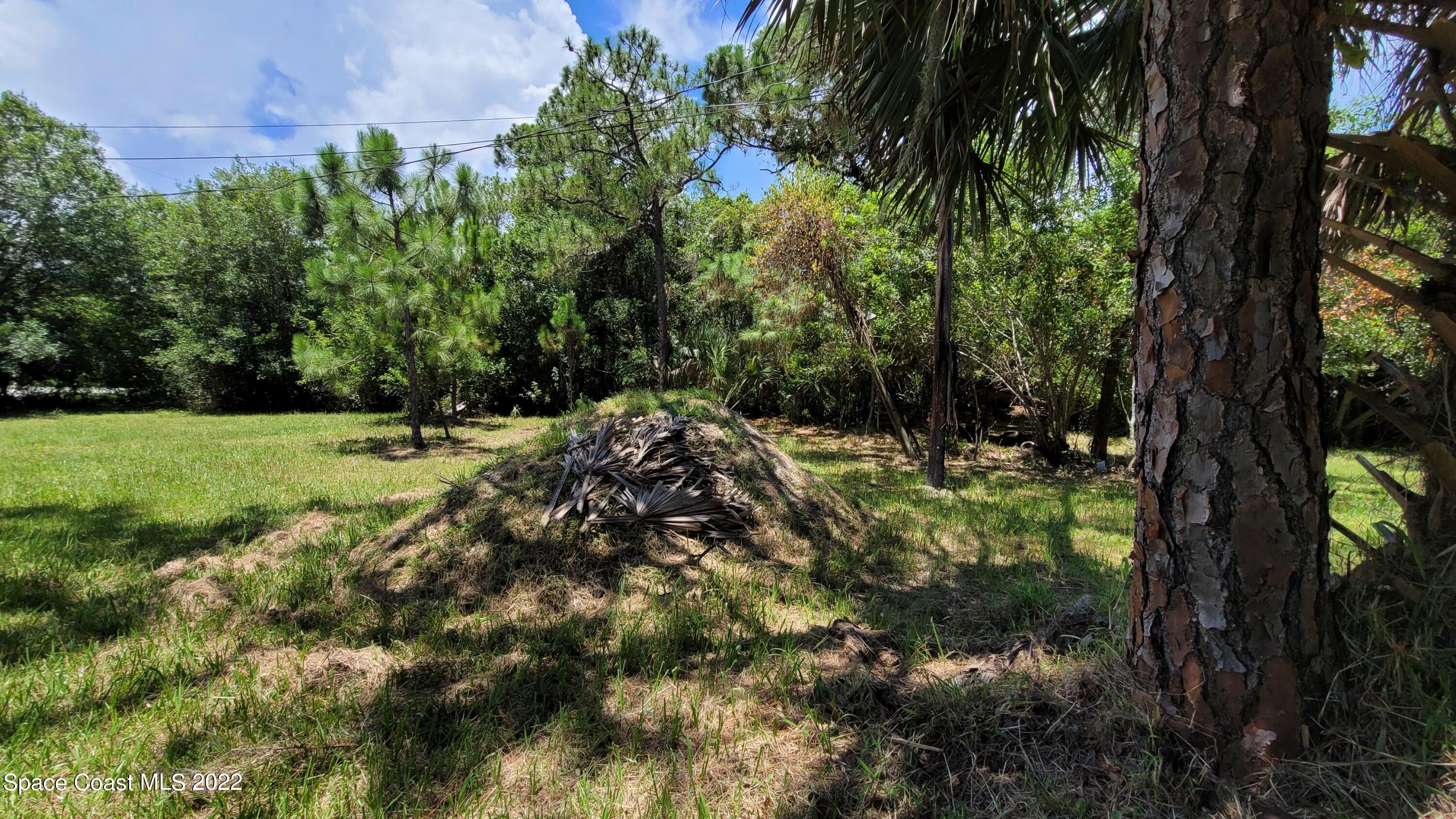 1910 Atz Road Malabar, FL 32950 - Photo 56 of 58 a view of green field