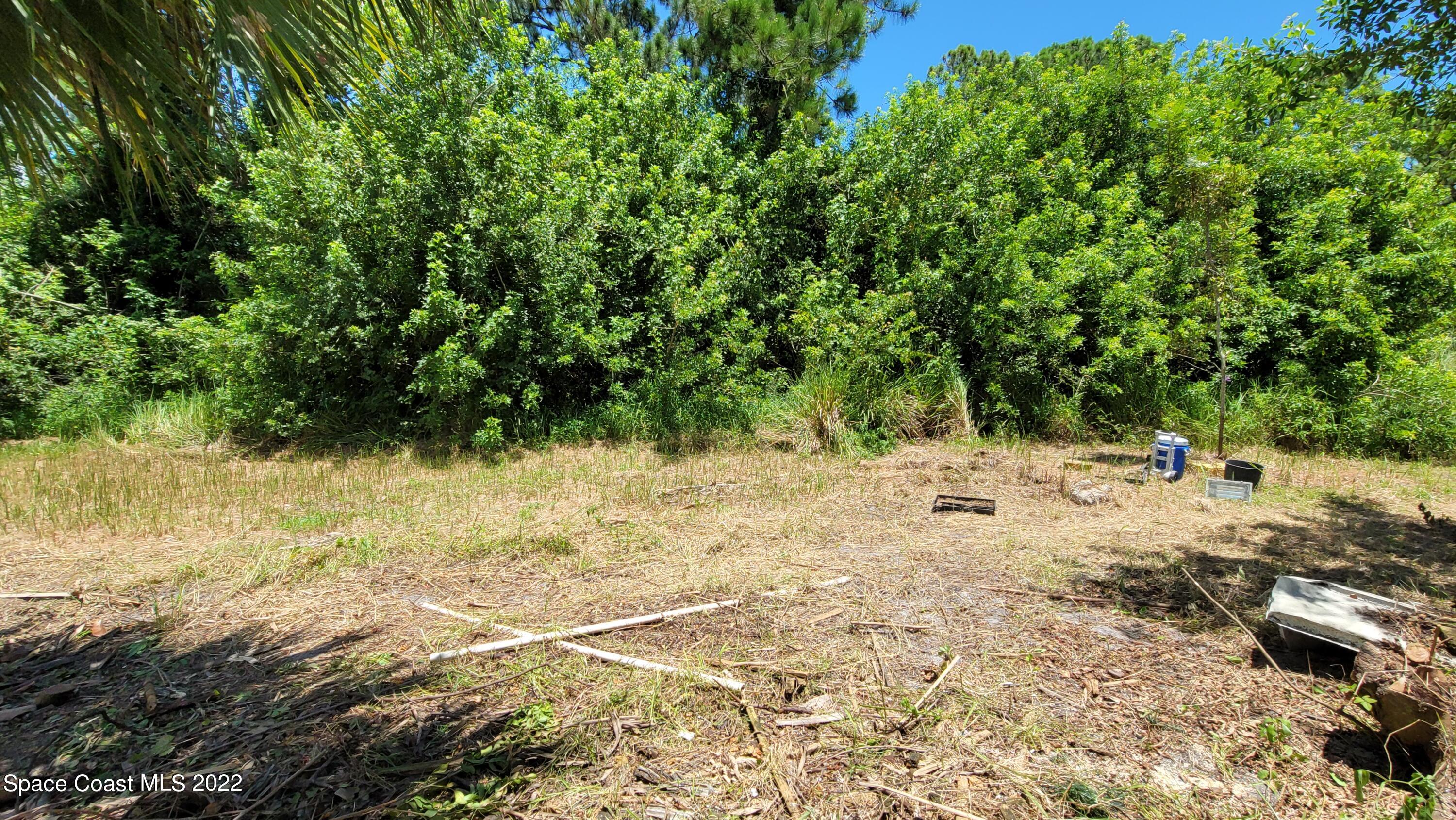 1910 Atz Road Malabar, FL 32950 - Photo 57 of 58 a view of a yard with a tree