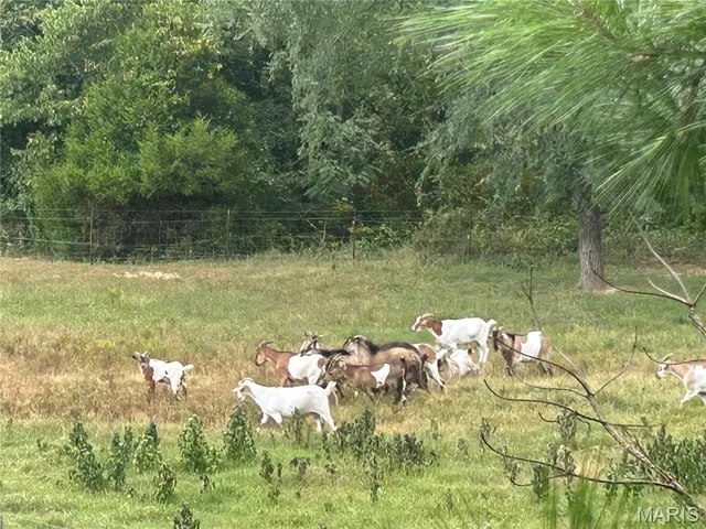 $239,900 | 188 Rolla Lane, Williamsville, MO 63967