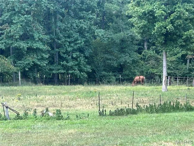 $239,900 | 188 Rolla Lane, Williamsville, MO 63967