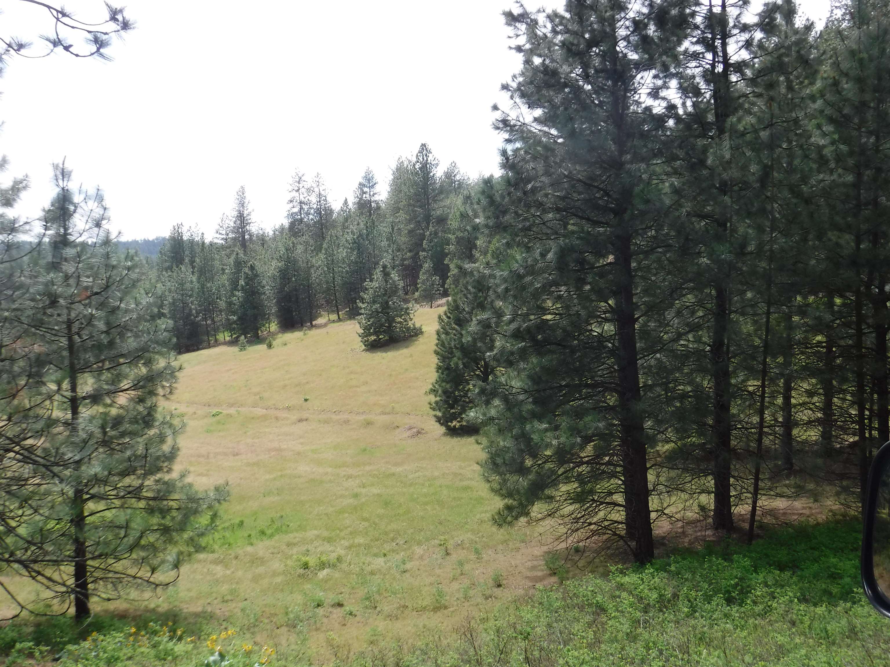 Xx East Woolard Road Colbert, WA 99005 - Photo 7 of 23