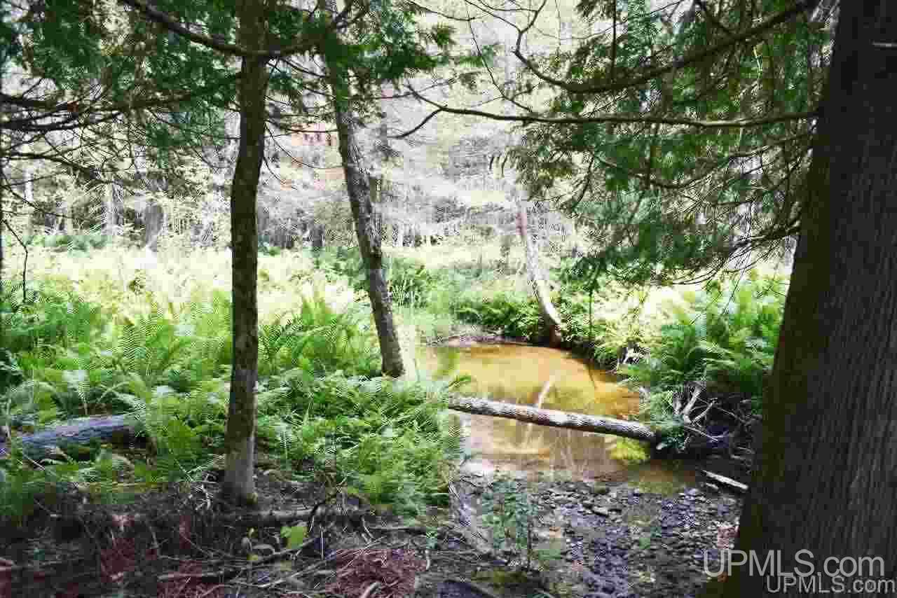 8202 Co Road Rapid River, MI 49878 - Photo 7 of 17