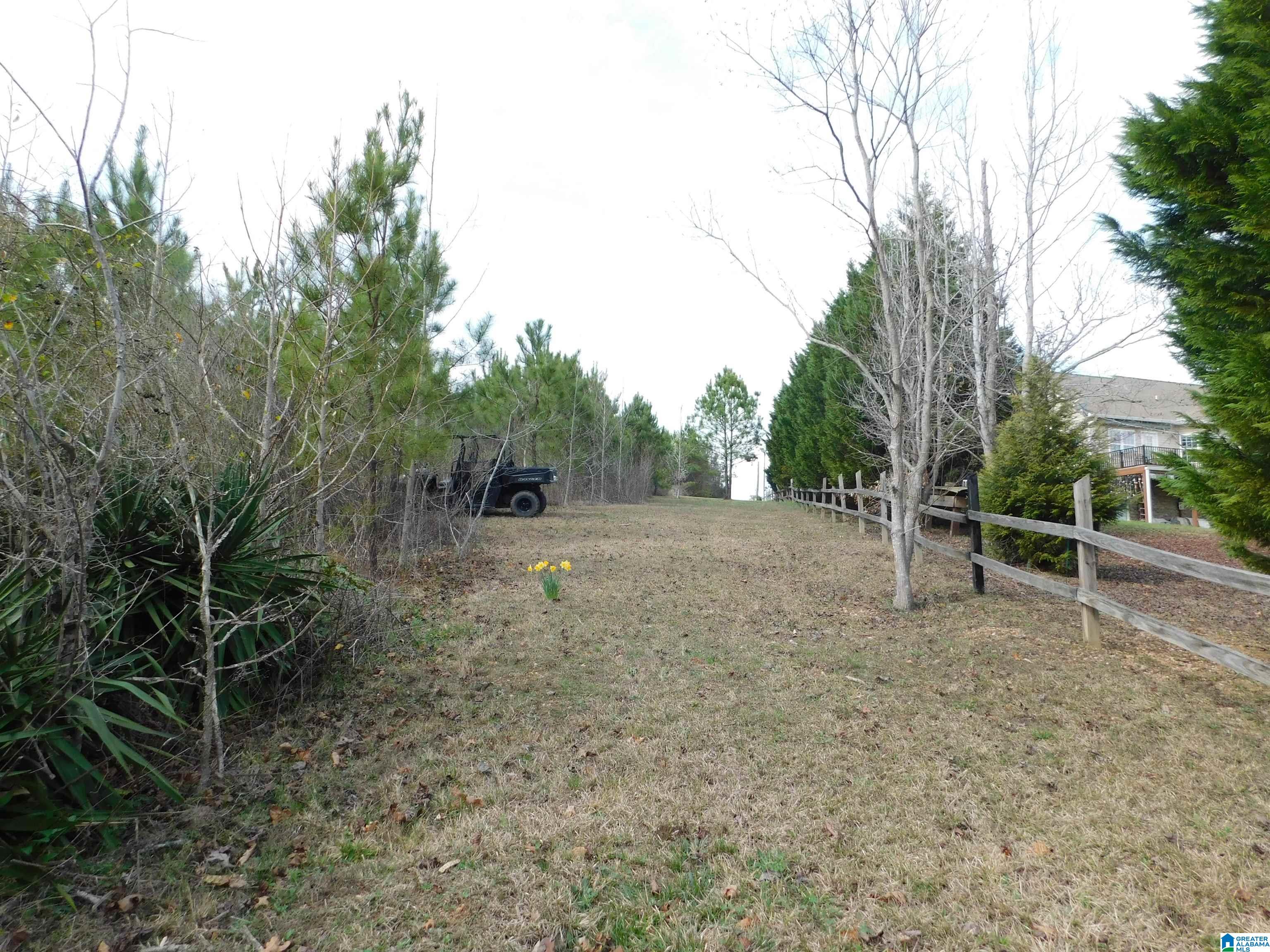 0 Lock 1 Road, Unit 2 Ashville, AL 35953 - Photo 5 of 13