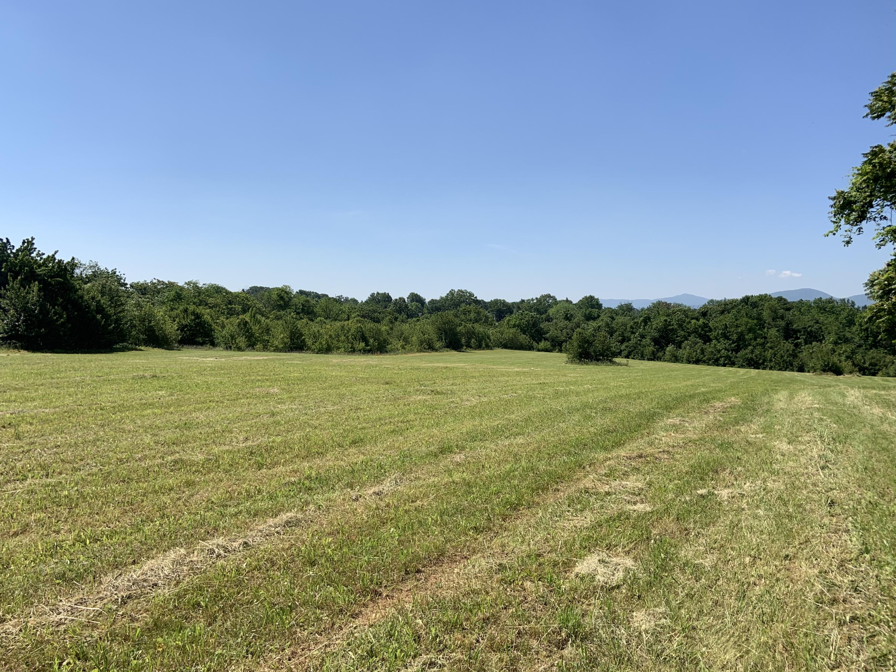 4004 Cove Road Roanoke, VA 24017 - Photo 10 of 30 a view of a green field with clear sky