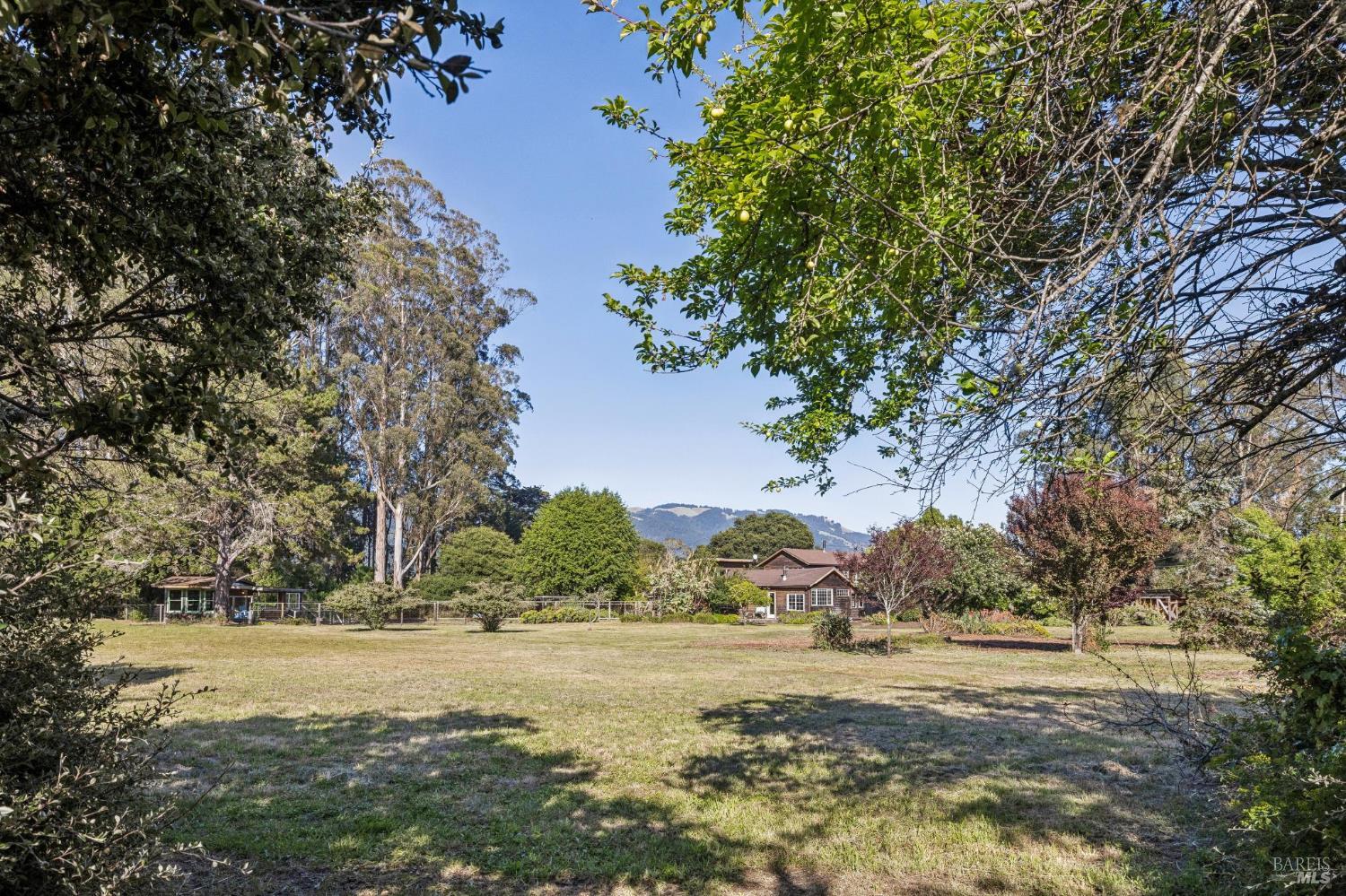 5 Lauff Ranch Road Bolinas, CA 94924 - Photo 74 of 92