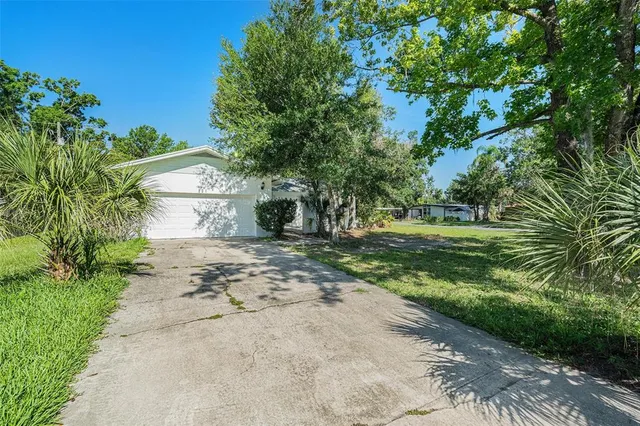 a view of a road with plants and a trees