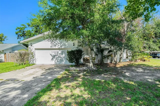 a view of a yard with plants and a large tree