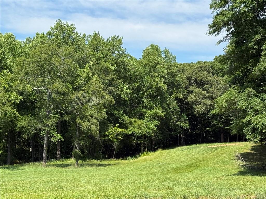 603 Wall Bridge Road Clarkesville, GA 30523 - Photo 3 of 21