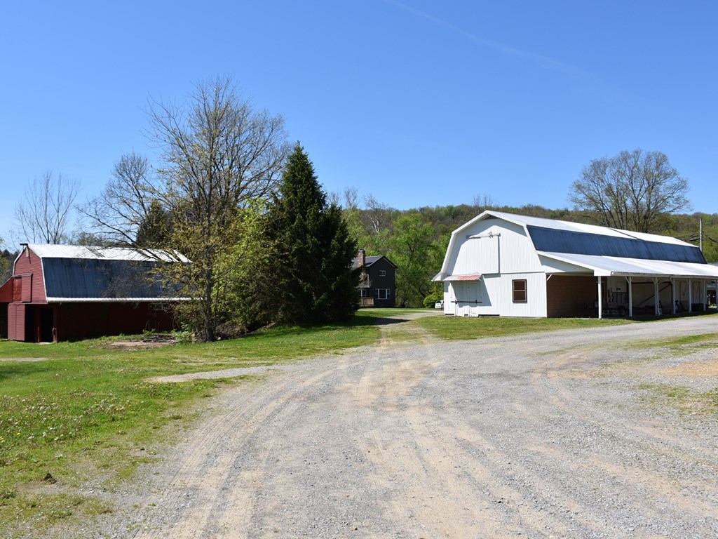1334 Cochranton Road Carlton, PA 16311 - Photo 39 of 49 a view of a house with backyard and trees