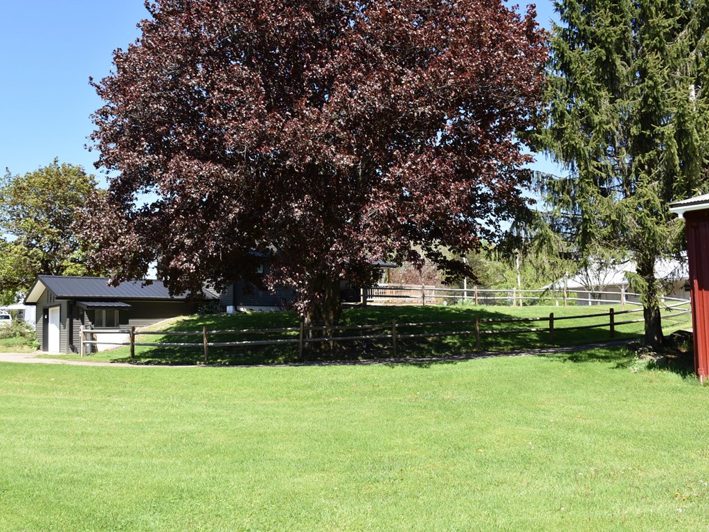 1334 Cochranton Road Carlton, PA 16311 - Photo 6 of 49 a view of house with a yard
