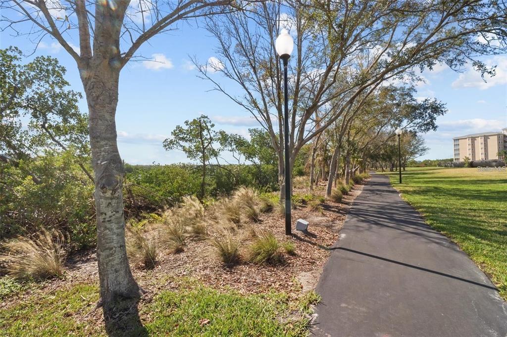 10002 Key Haven Road, Unit 204 Seminole, FL 33777 - Photo 70 of 73