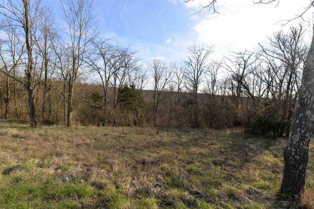 1265 Lincoln Ridge Road Williamstown, KY 41097 - Photo 10 of 19 Gallery Image 10