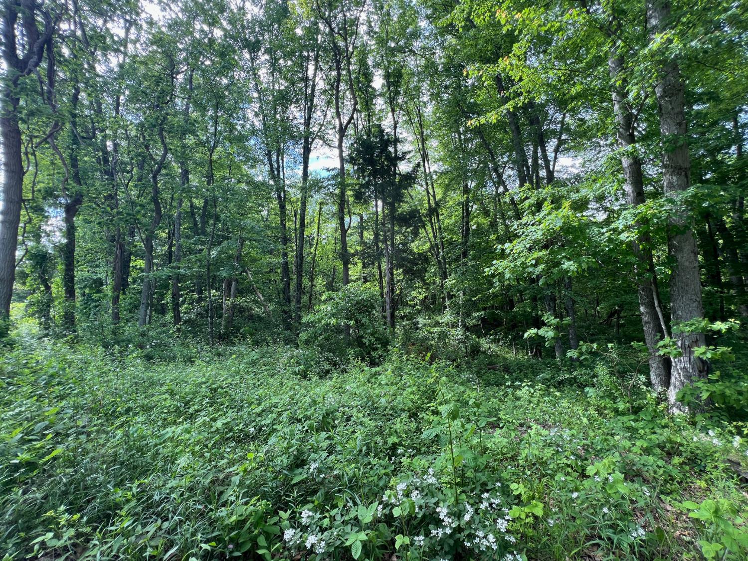 14500 Horton Road Moores Hill, IN 47032 - Photo 24 of 42