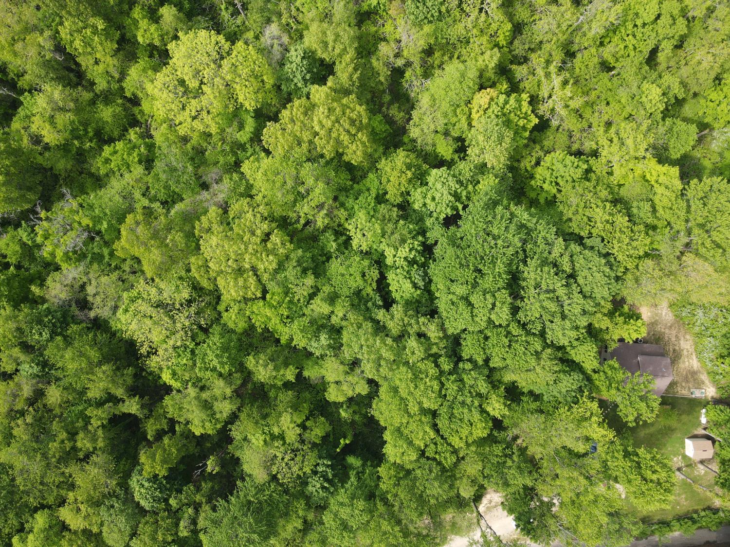 14500 Horton Road Moores Hill, IN 47032 - Photo 29 of 42