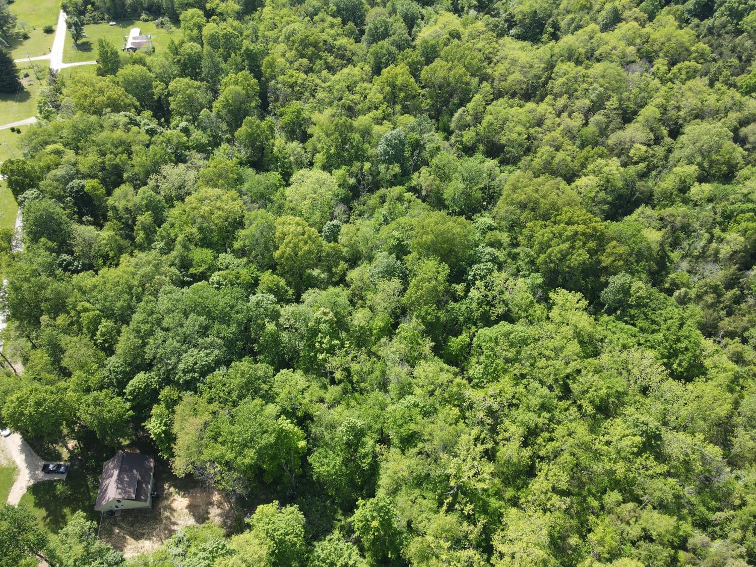 14500 Horton Road Moores Hill, IN 47032 - Photo 31 of 42