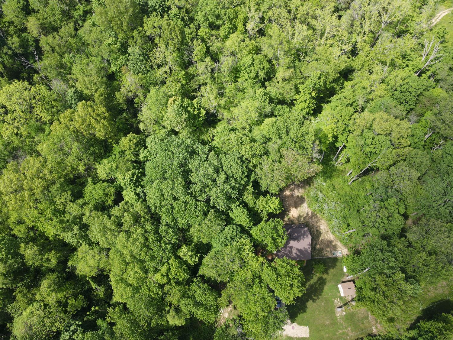 14500 Horton Road Moores Hill, IN 47032 - Photo 32 of 42