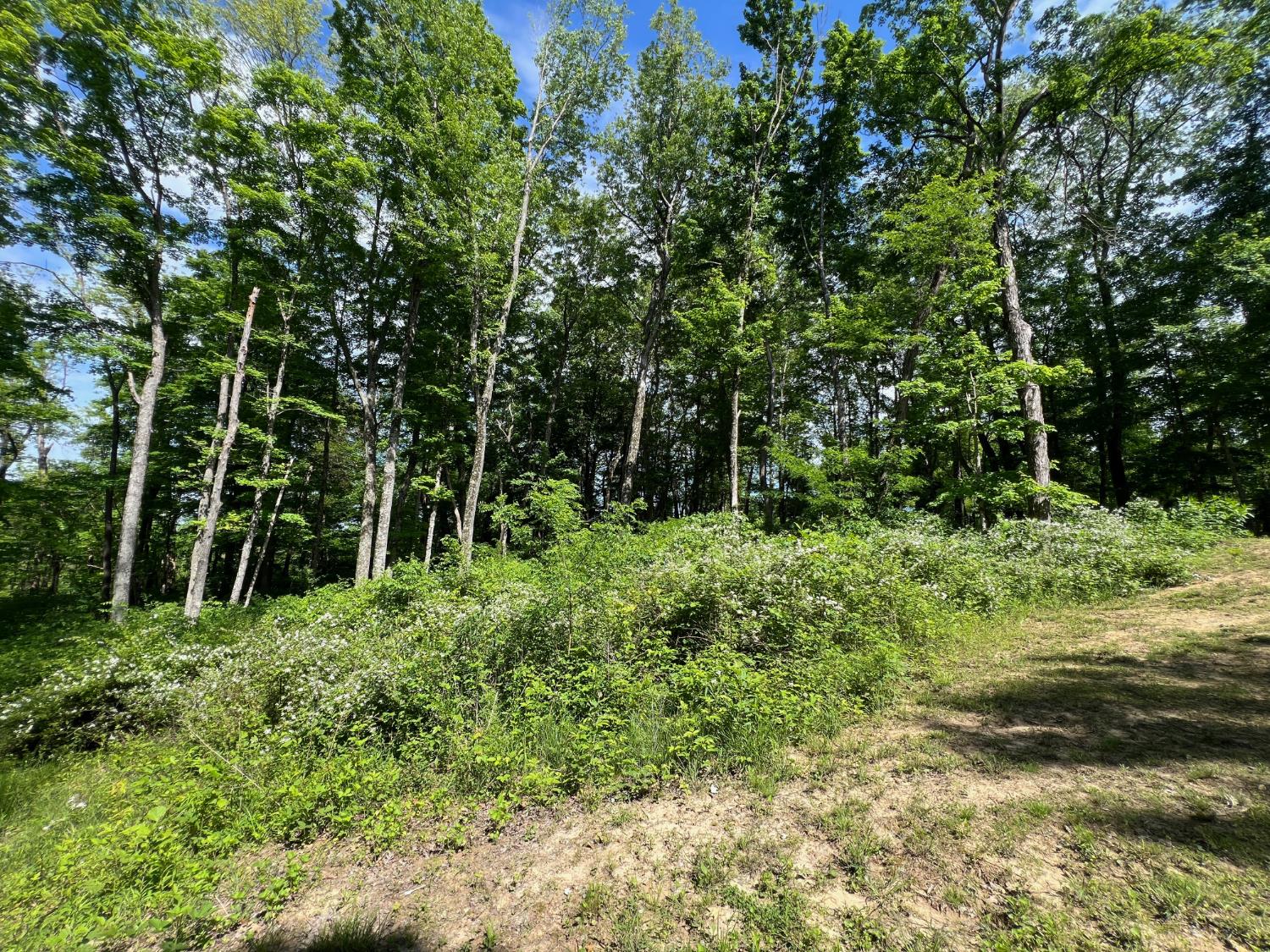 14500 Horton Road Moores Hill, IN 47032 - Photo 38 of 42