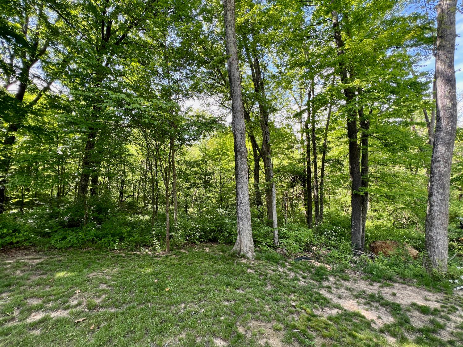 14500 Horton Road Moores Hill, IN 47032 - Photo 42 of 42