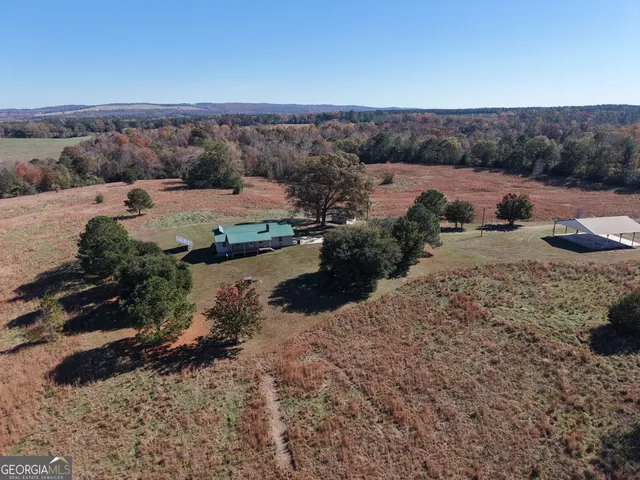 a view of a dry yard with trees