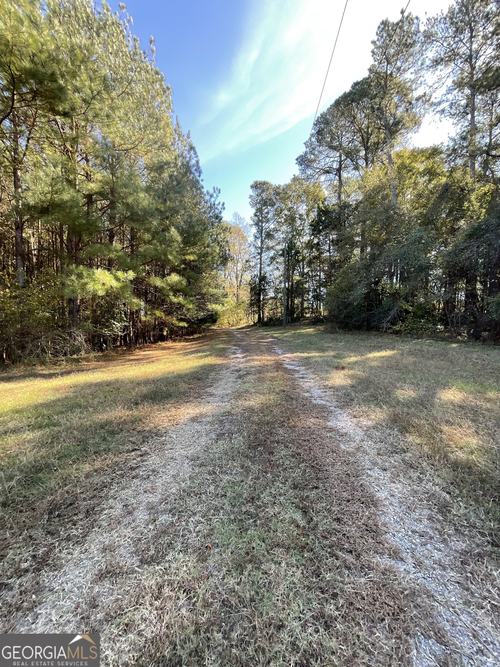 501 Raleigh Road Woodbury, GA 30293 - Photo 46 of 94