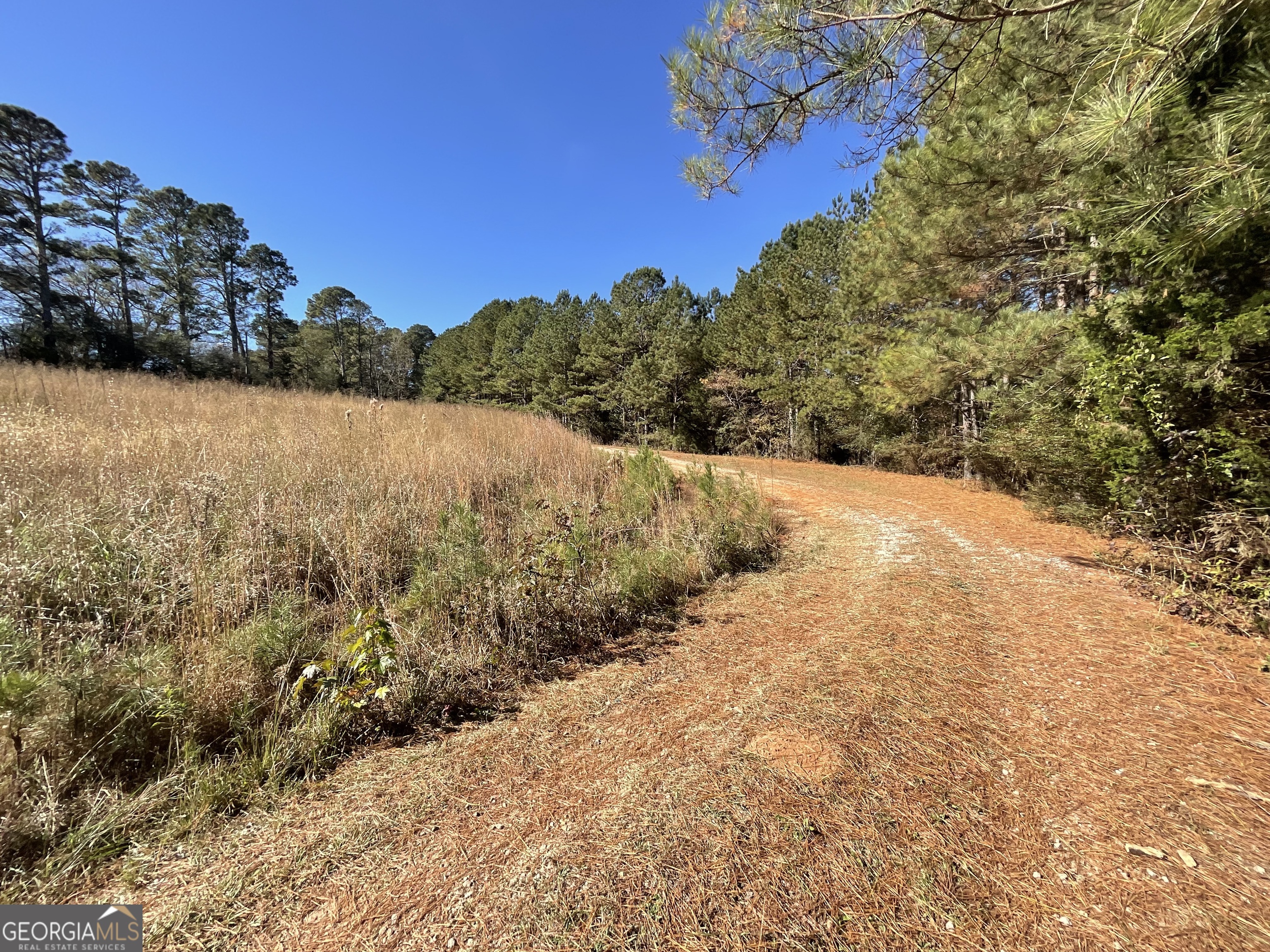 501 Raleigh Road Woodbury, GA 30293 - Photo 48 of 94 a view of mountain view with tall trees