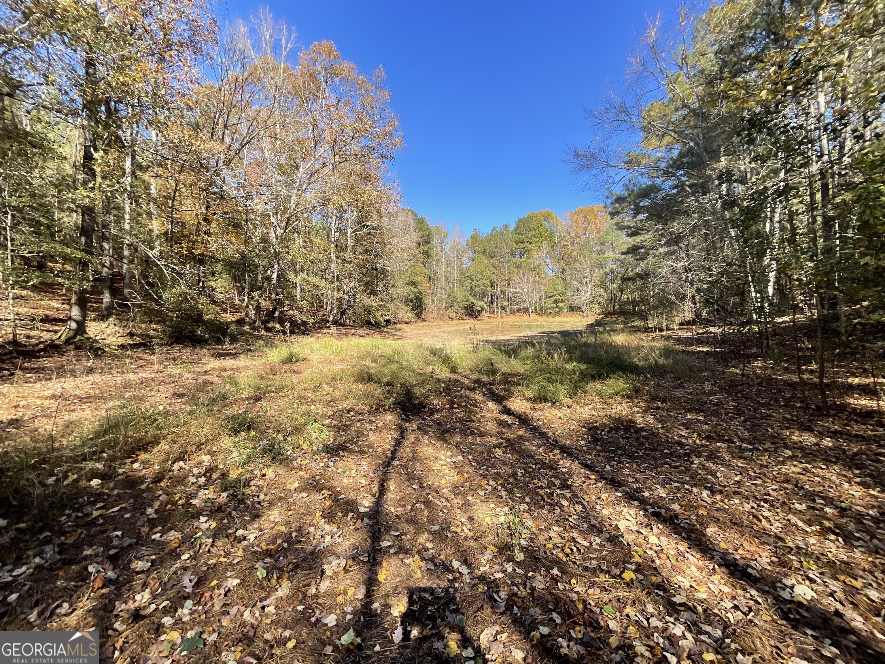501 Raleigh Road Woodbury, GA 30293 - Photo 56 of 94 a view of dirt field with trees in the background