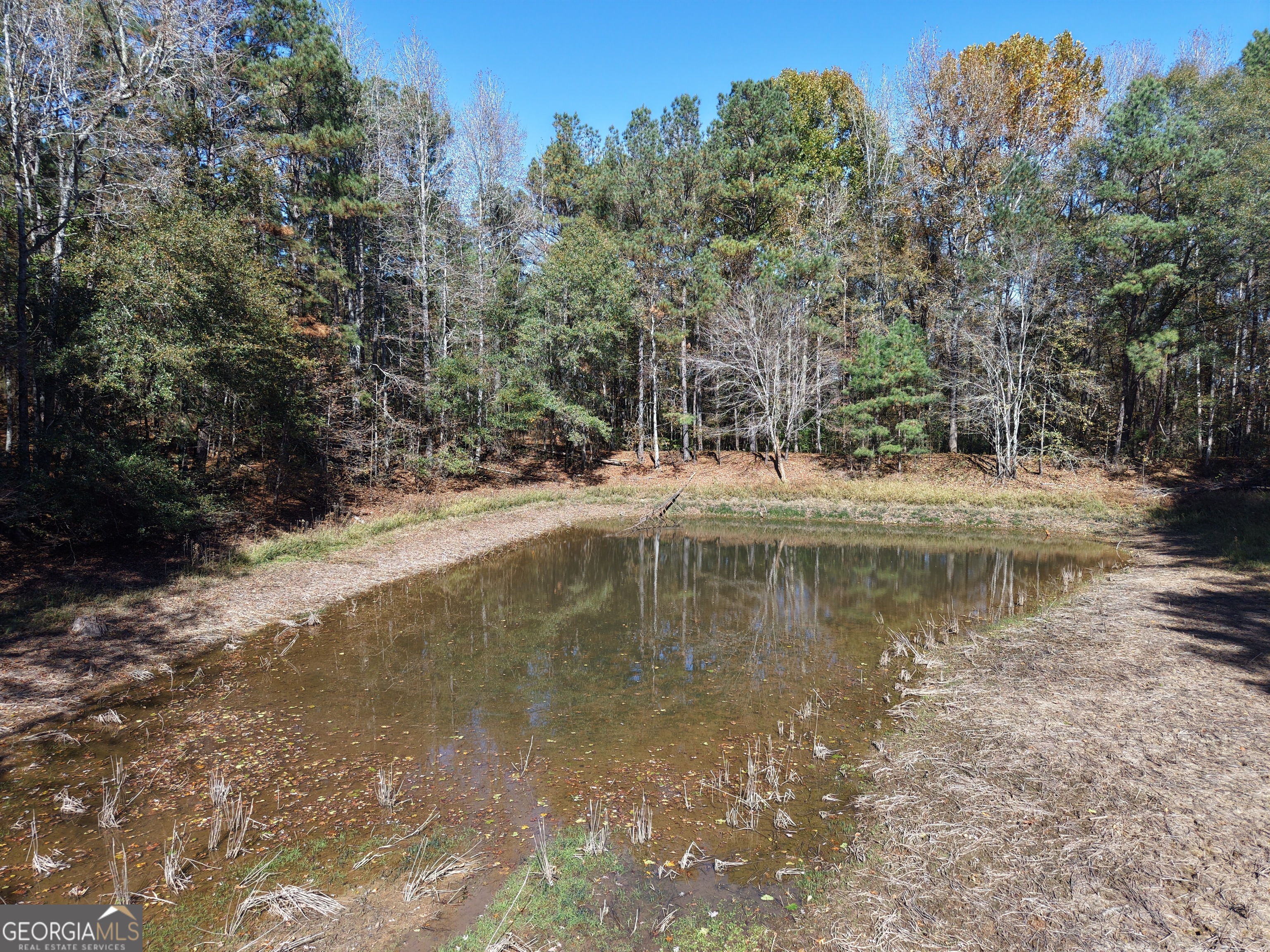 501 Raleigh Road Woodbury, GA 30293 - Photo 59 of 94