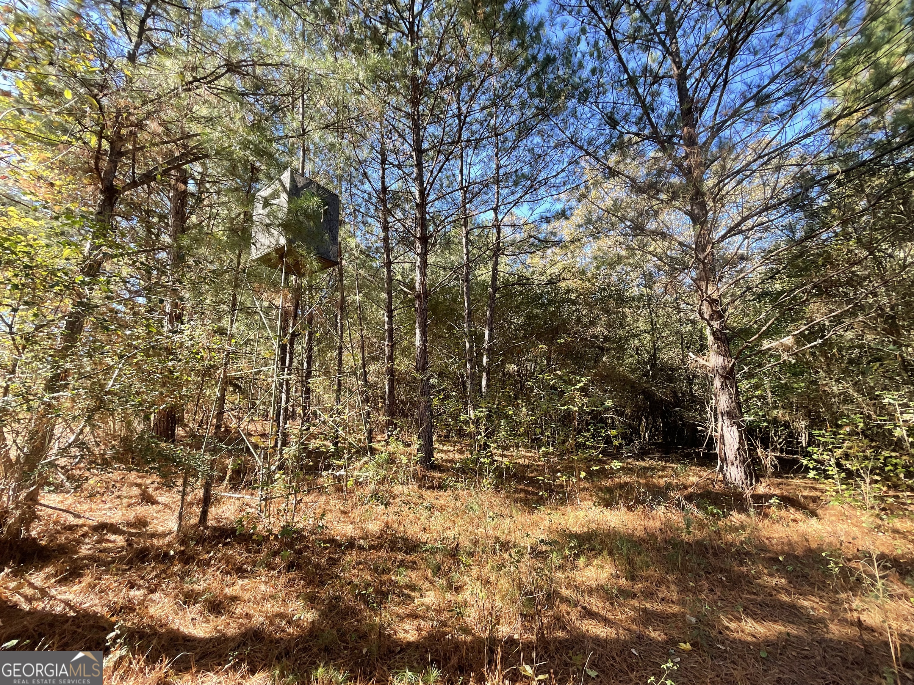 501 Raleigh Road Woodbury, GA 30293 - Photo 6 of 94 Deer stand