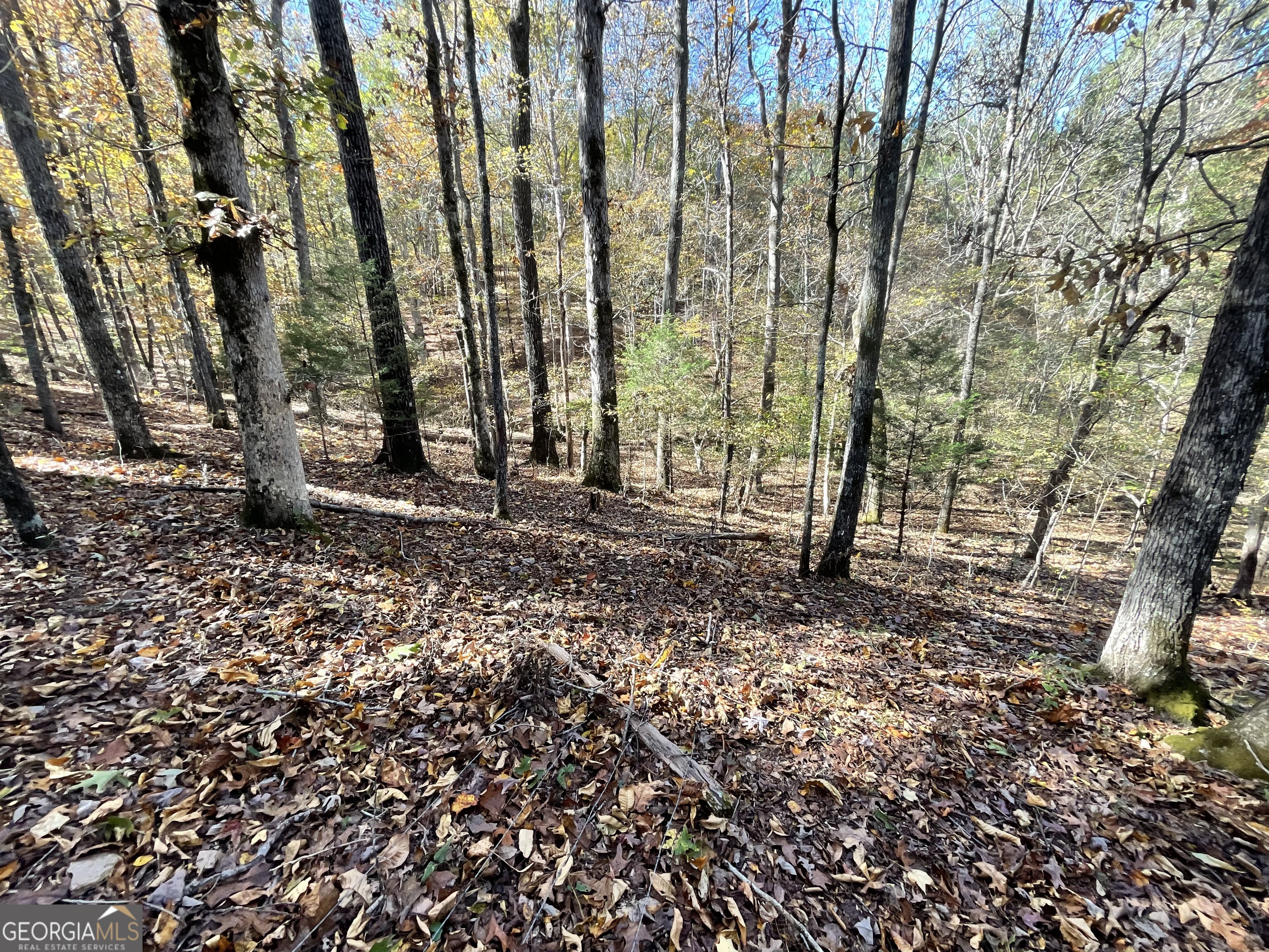 501 Raleigh Road Woodbury, GA 30293 - Photo 62 of 94 a backyard of a house with lots of green space