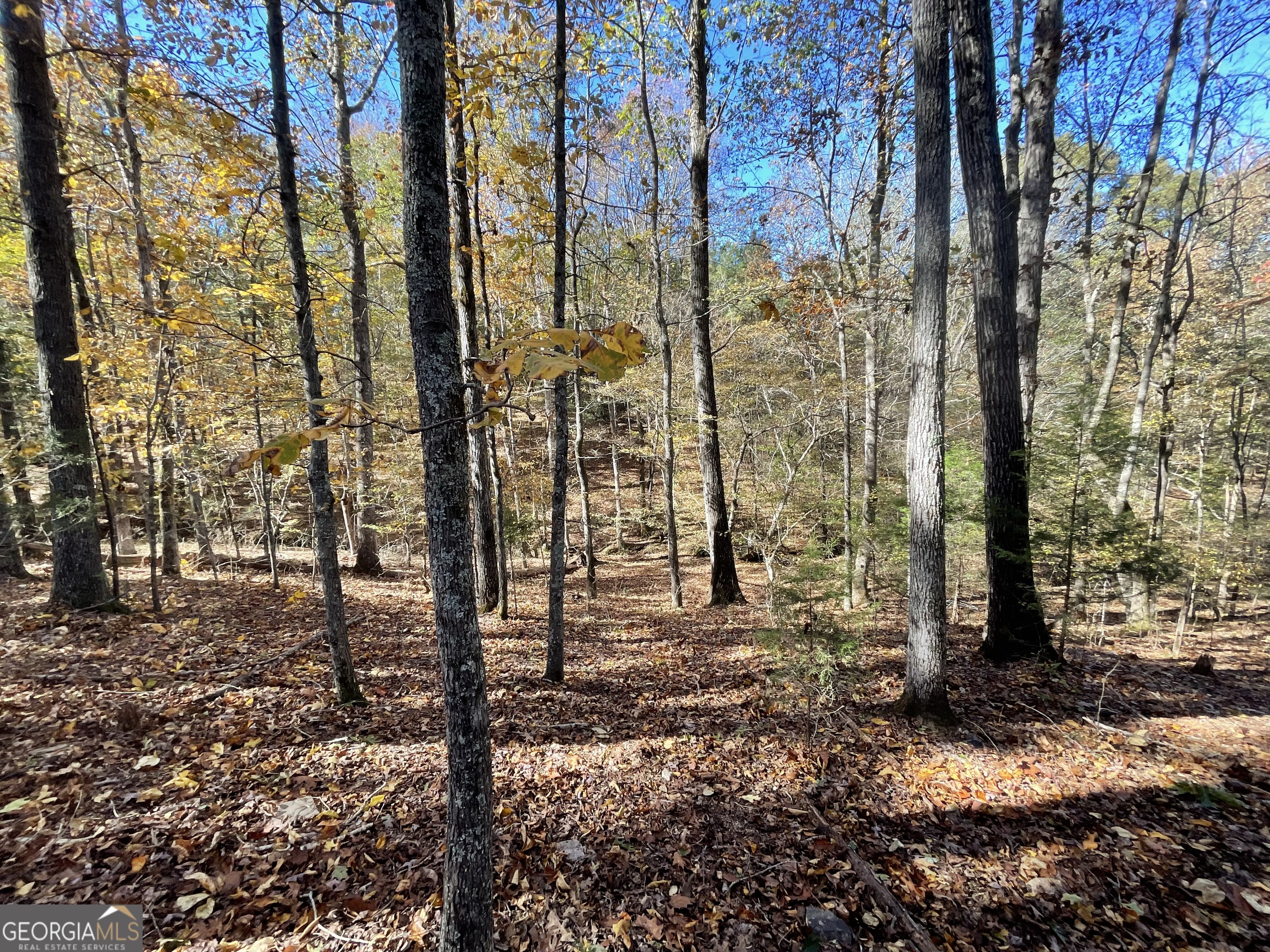 501 Raleigh Road Woodbury, GA 30293 - Photo 63 of 94 a view of a backyard of the house
