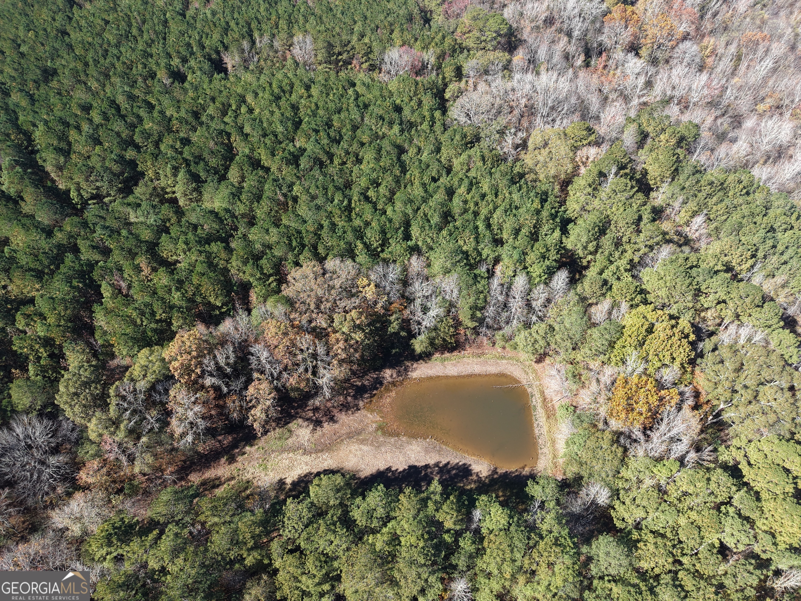 501 Raleigh Road Woodbury, GA 30293 - Photo 7 of 94