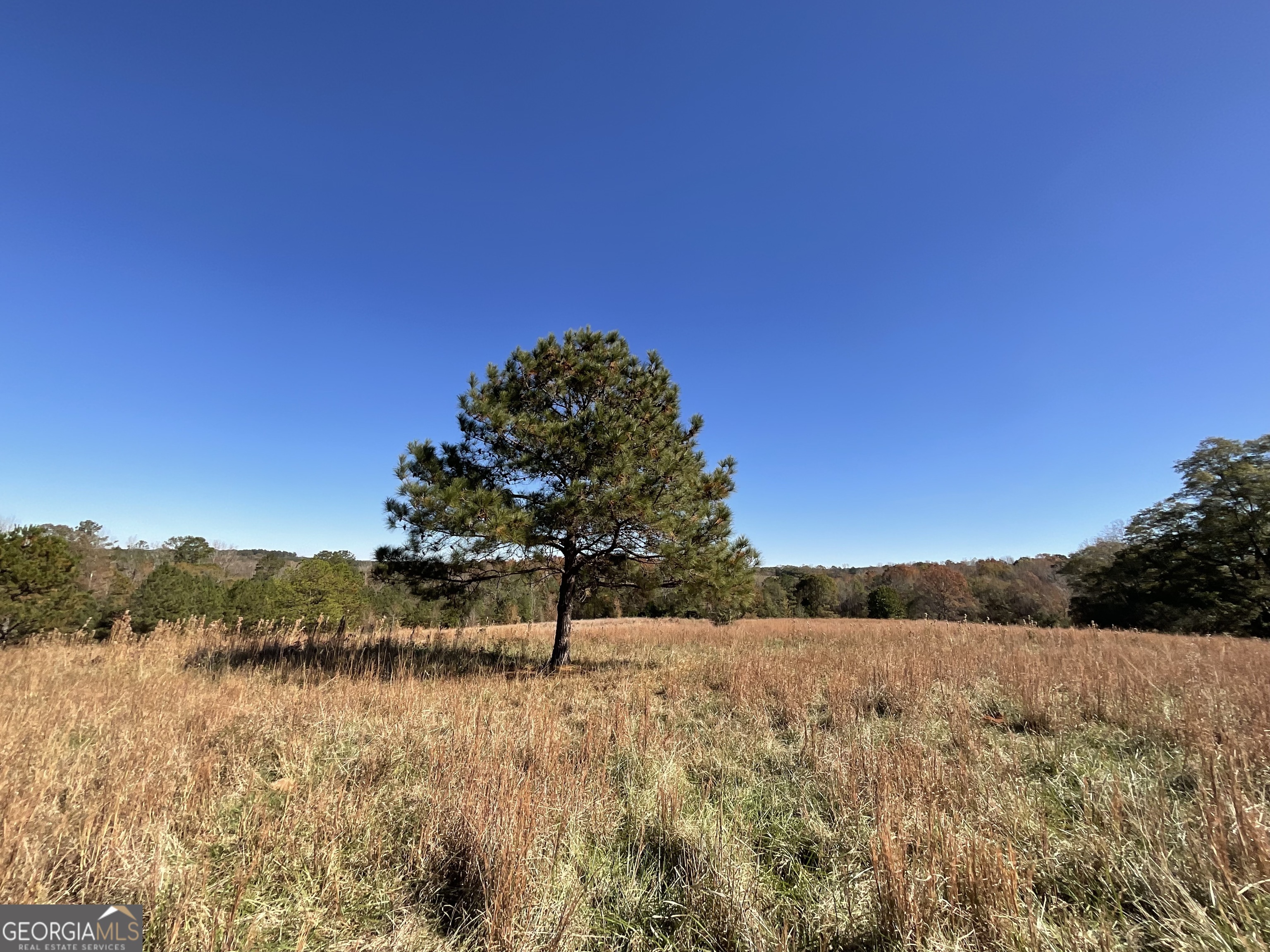 501 Raleigh Road Woodbury, GA 30293 - Photo 89 of 94