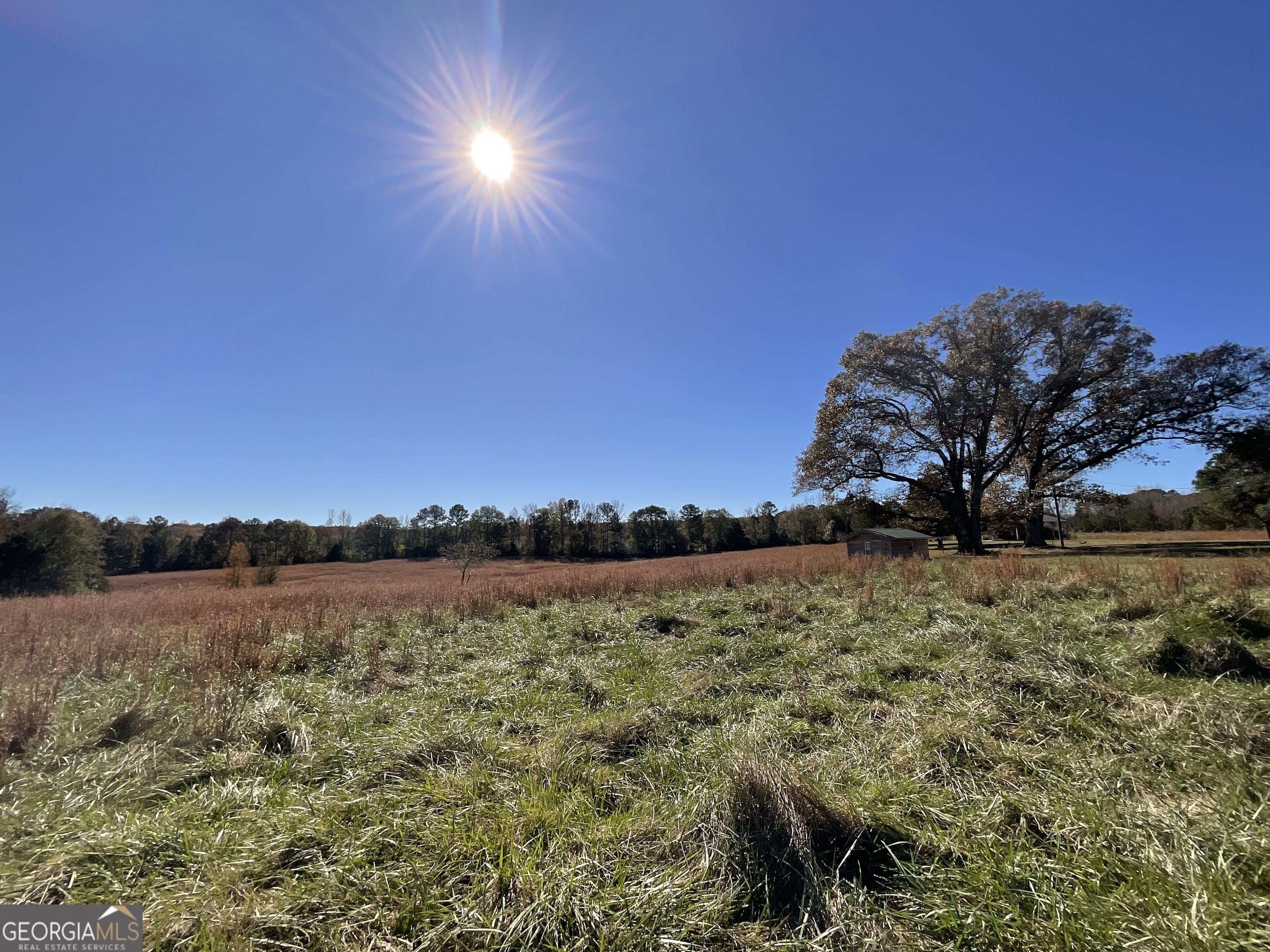 501 Raleigh Road Woodbury, GA 30293 - Photo 90 of 94