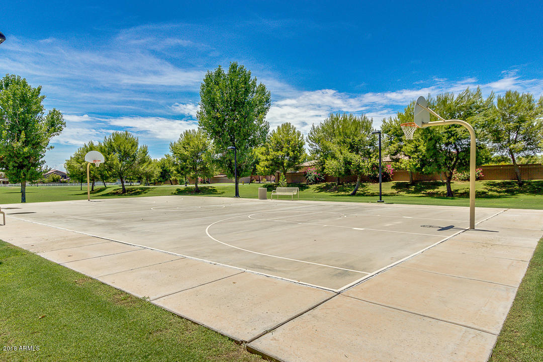 4356 East Cullumber Street Gilbert, AZ 85234 - Photo 38 of 40 Basketball Courts