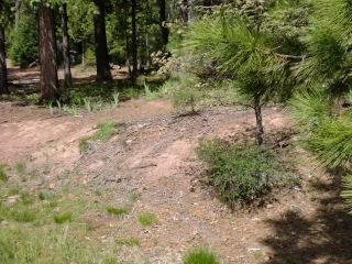 7610 Long Hay Flat Road Shingletown, CA 96088 - Photo 11 of 27 CIMG2165