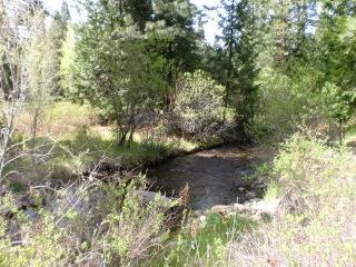 7610 Long Hay Flat Road Shingletown, CA 96088 - Photo 7 of 27 CIMG2159
