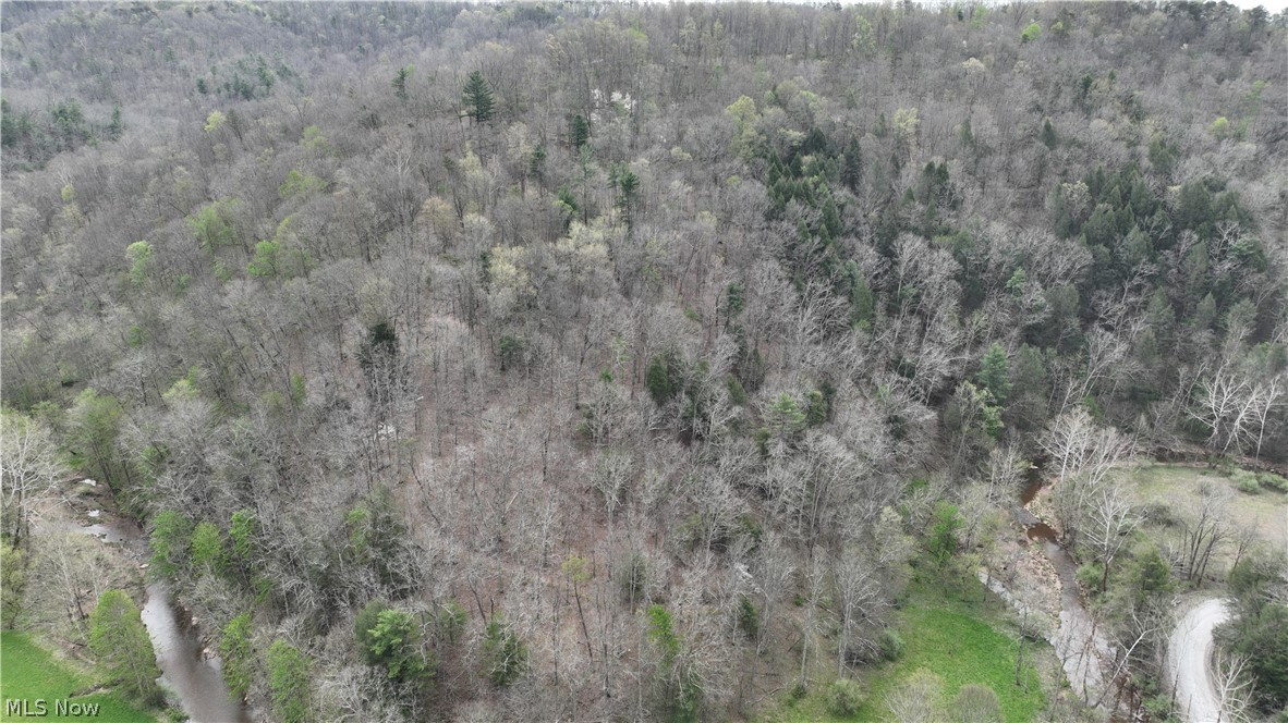 0 Sugar Creek Road Friendly, WV 26146 - Photo 6 of 11