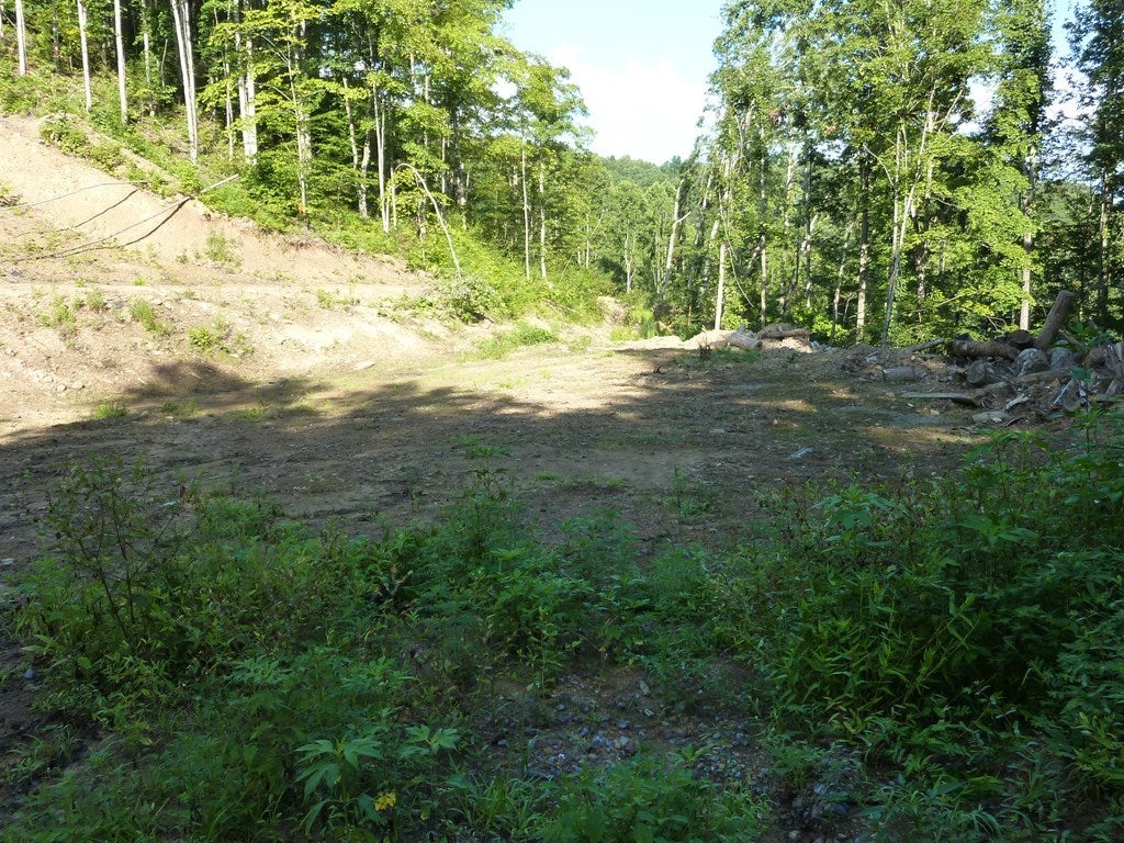 0 Atwell Mtn Road Raysal, WV 24879 - Photo 6 of 9 Gallery Image 6