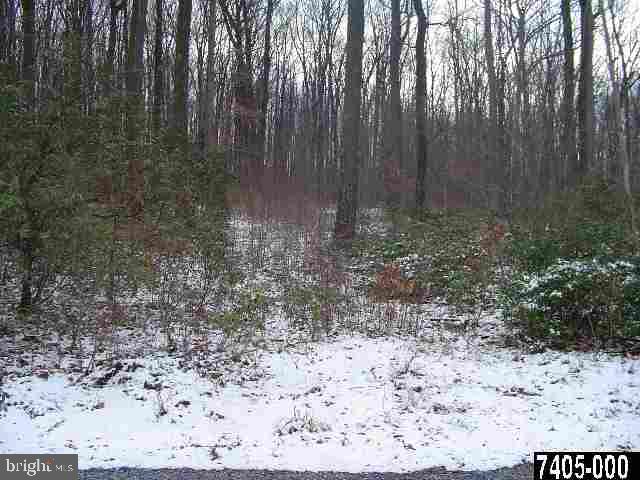 Lot Rockery Road Spring Grove, PA 17362 - Photo 1 of 3
