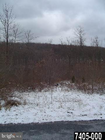 Lot Rockery Road Spring Grove, PA 17362 - Photo 3 of 3