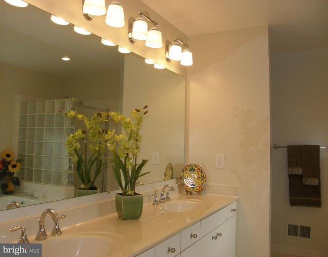 6836 Camus Place Springfield, VA 22152 - Photo 12 of 20 Master Bath