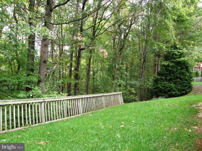 6836 Camus Place Springfield, VA 22152 - Photo 19 of 20 Back yard