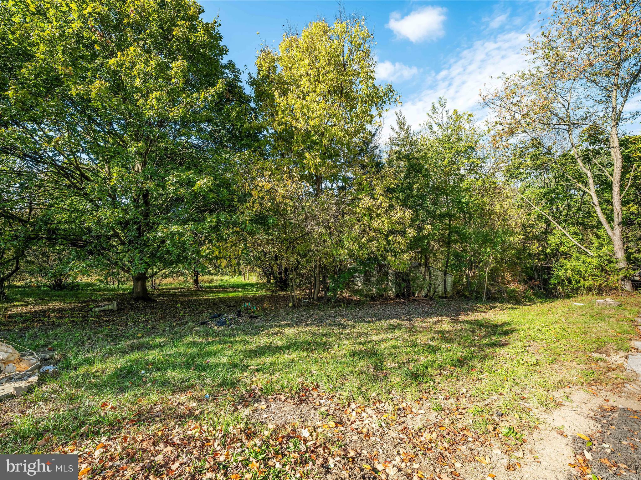 298 Bufflick Road Winchester, VA 22602 - Photo 33 of 38 a view of a yard with a trees